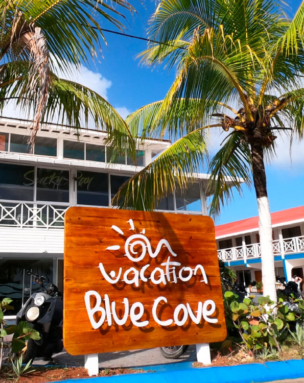 hotel blue cove on vacation