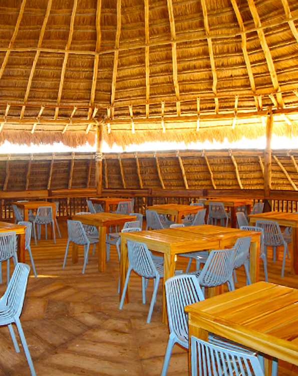 zona de comidas wayira beach